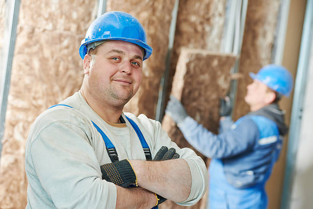 Best Eco-Friendly Insulation in Plattsburg, MO