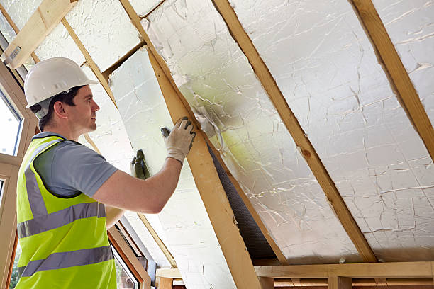 Best Residential Insulation in Plattsburg, MO