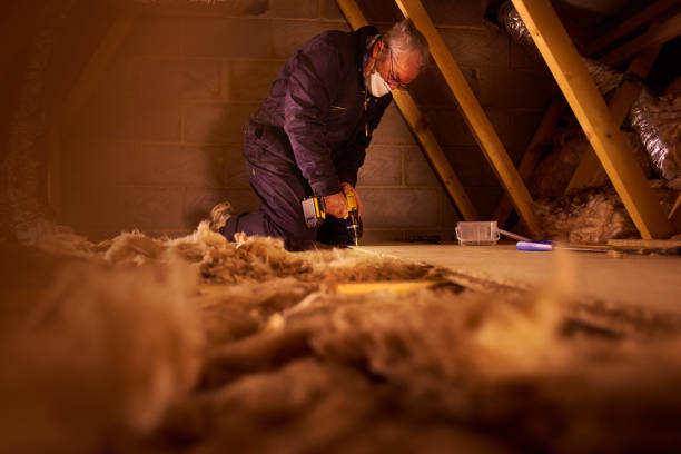 Types of Insulation We Offer in Plattsburg, MO